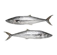 Surmai/Kingfish