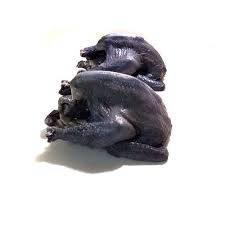 Kadaknath